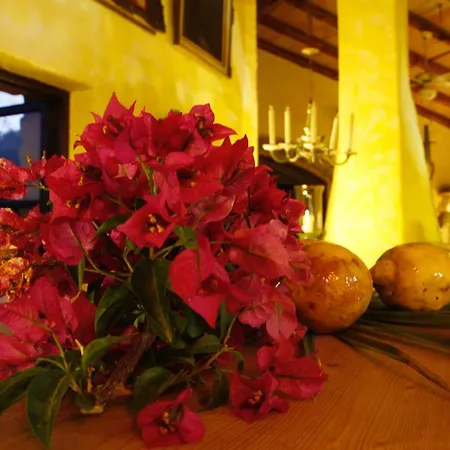 Duvai Mallorca Aparthotel