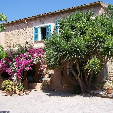 公寓式酒店 Duvai Mallorca 3*