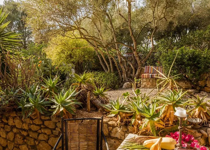 Lägenhetshotell Duvai Mallorca 3*