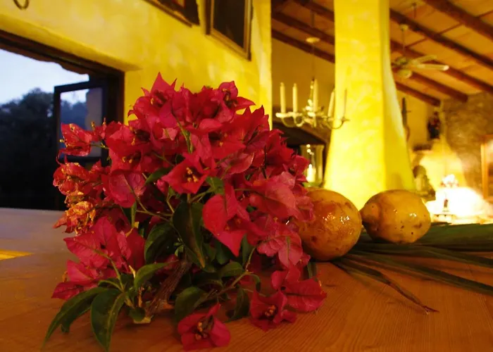 Duvai Mallorca Aparthotel